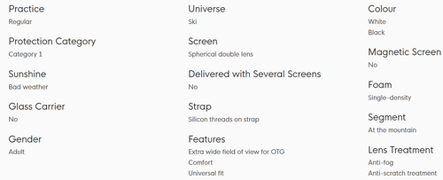 CAIRN Blaze SPX1 white | gogle narty / snowboard | bad weather / Lens Cat. 1